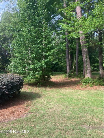 155 416 Southern Magnolia Lane image