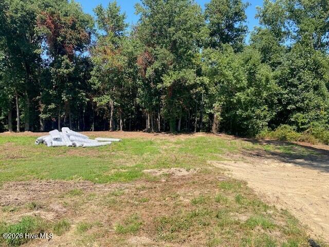 5230 Roseheath Court, Bailey, NC 27807 — photo 3