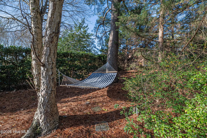 3404 Wyneston Road, Greenville, NC 27858 — photo 28