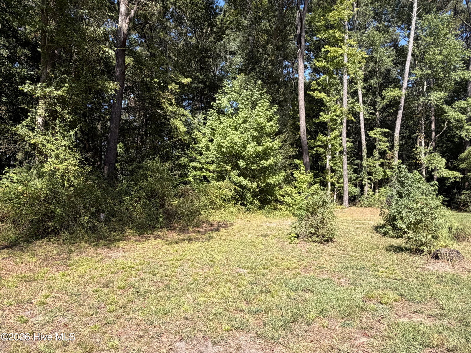 10848 Prison Camp Road, Robersonville, NC 27871 — photo 5