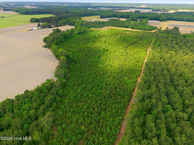 2733 Jim Taylor Road, Stokes, NC 27884 — photo 1
