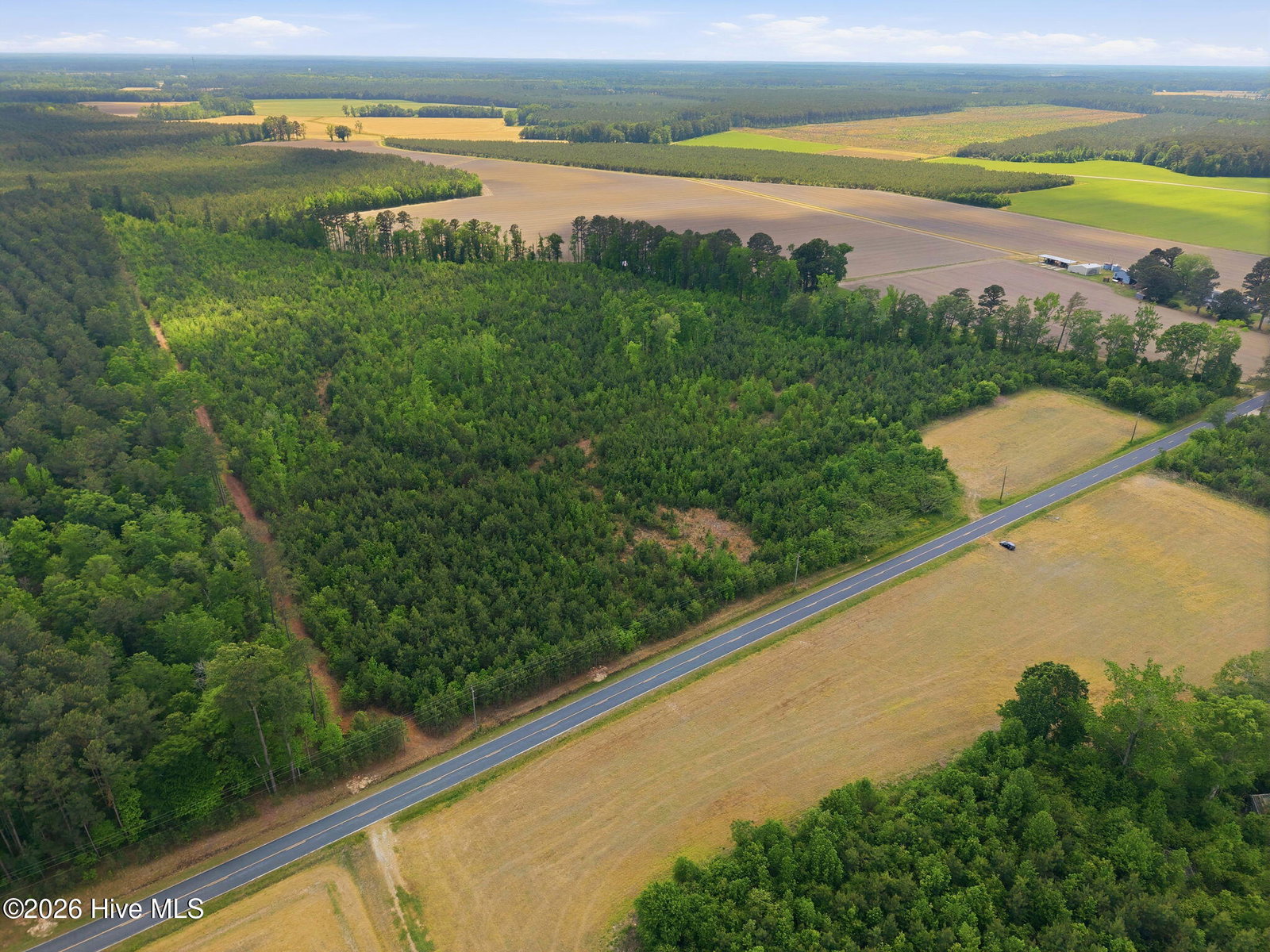 2733 Jim Taylor Road, Stokes, NC 27884 — photo 3