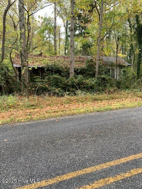Tbd Swains Mill Road, Harrellsville, NC 27942 — photo 4
