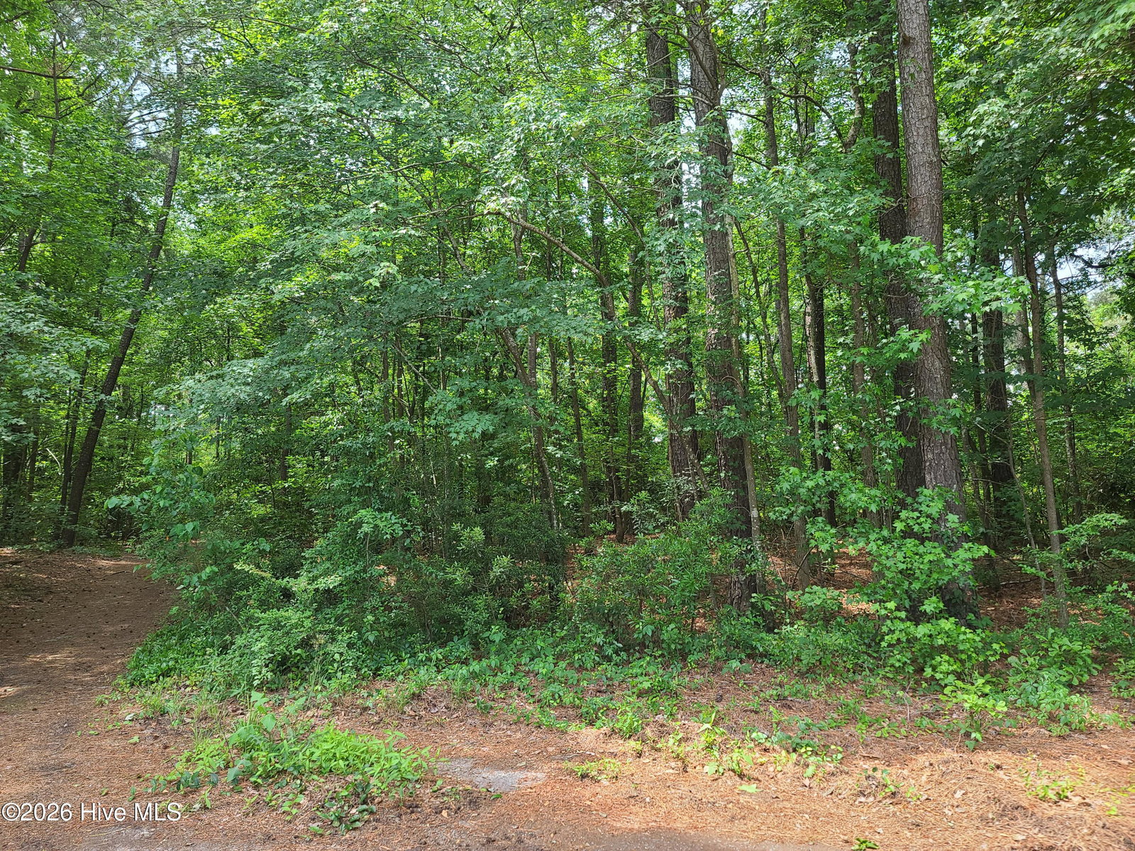 5662 7 Gail Drive, Ayden, NC 28513 — photo 2