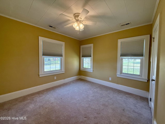 3773 Bear Grass Road, Williamston, NC 27892 — photo 46