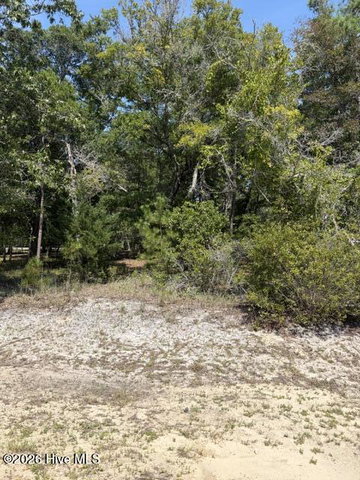 3374 469 Sandridge Lane SW image