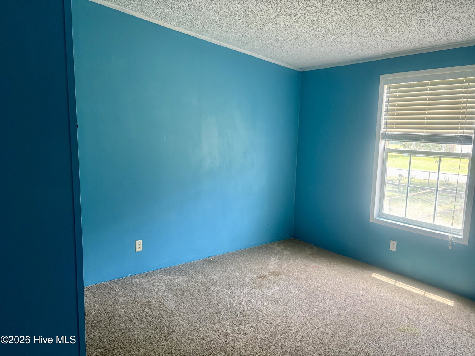114 Powhatan Trail, Edenton, NC 27932 — photo 5