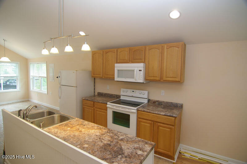 462 Snow Hill Street, Ayden, NC 28513 — photo 4