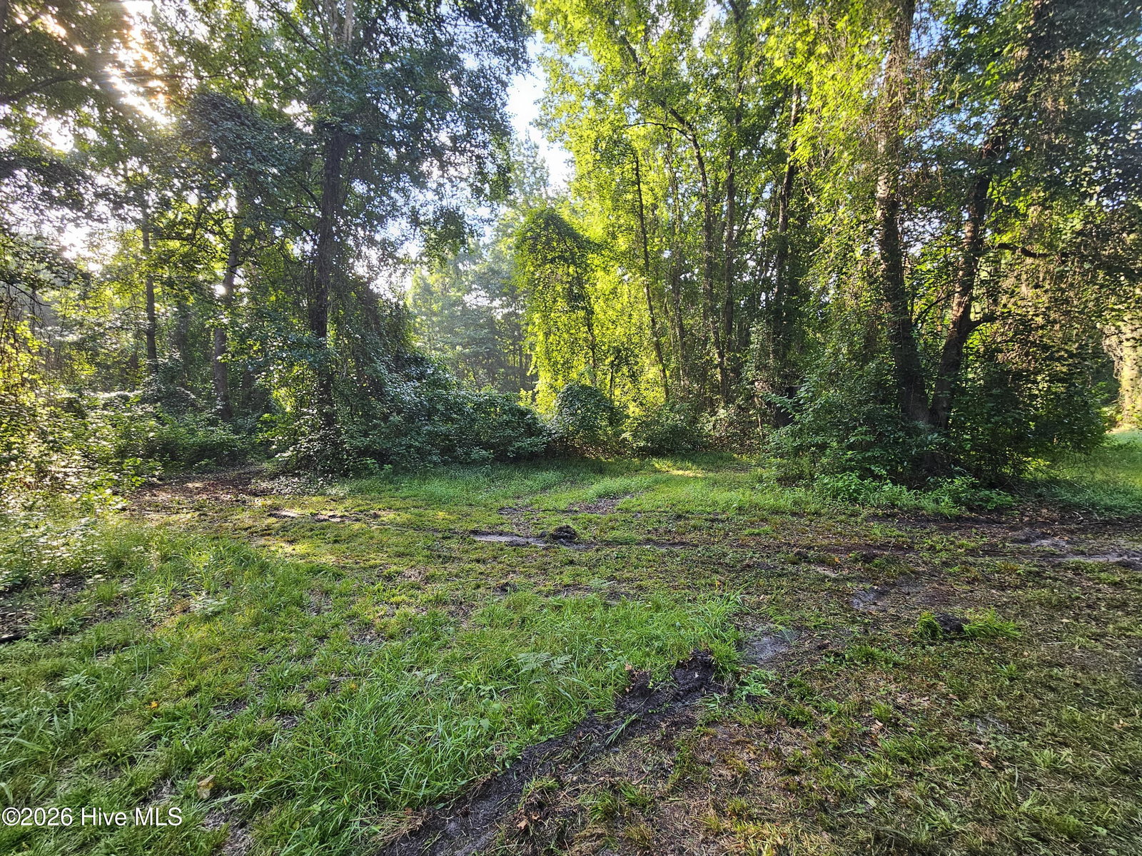 Lot 83 E Waterway Drive, Belhaven, NC 27810 — photo 2