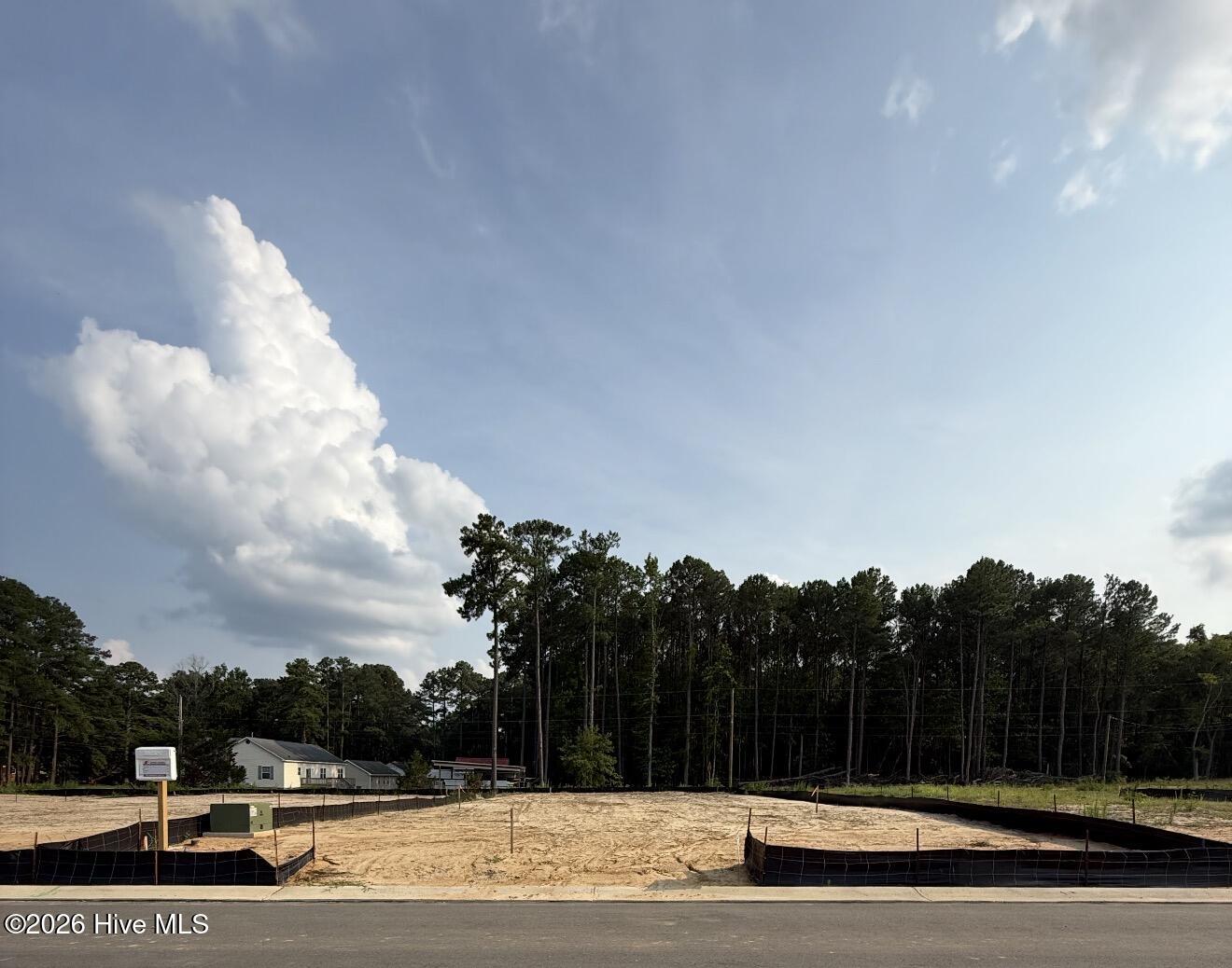 123 White Bark Avenue Lot 18, Rocky Mount, NC 27804 — photo 2