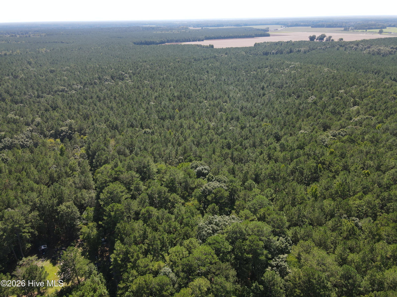 Tbd Nc 305, Jackson, NC 27845 — photo 3