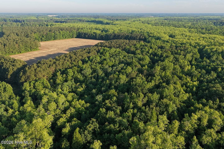 0 Kirkman Road, Robersonville, NC 27871 — photo 16
