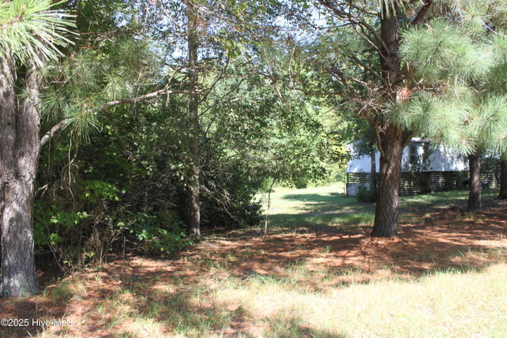 415 Cannons Ferry Road, Tyner, NC 27980 — photo 8