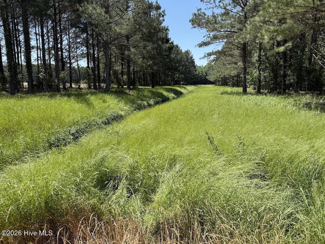 0 Kirkman Road, Robersonville, NC 27871 — photo 3
