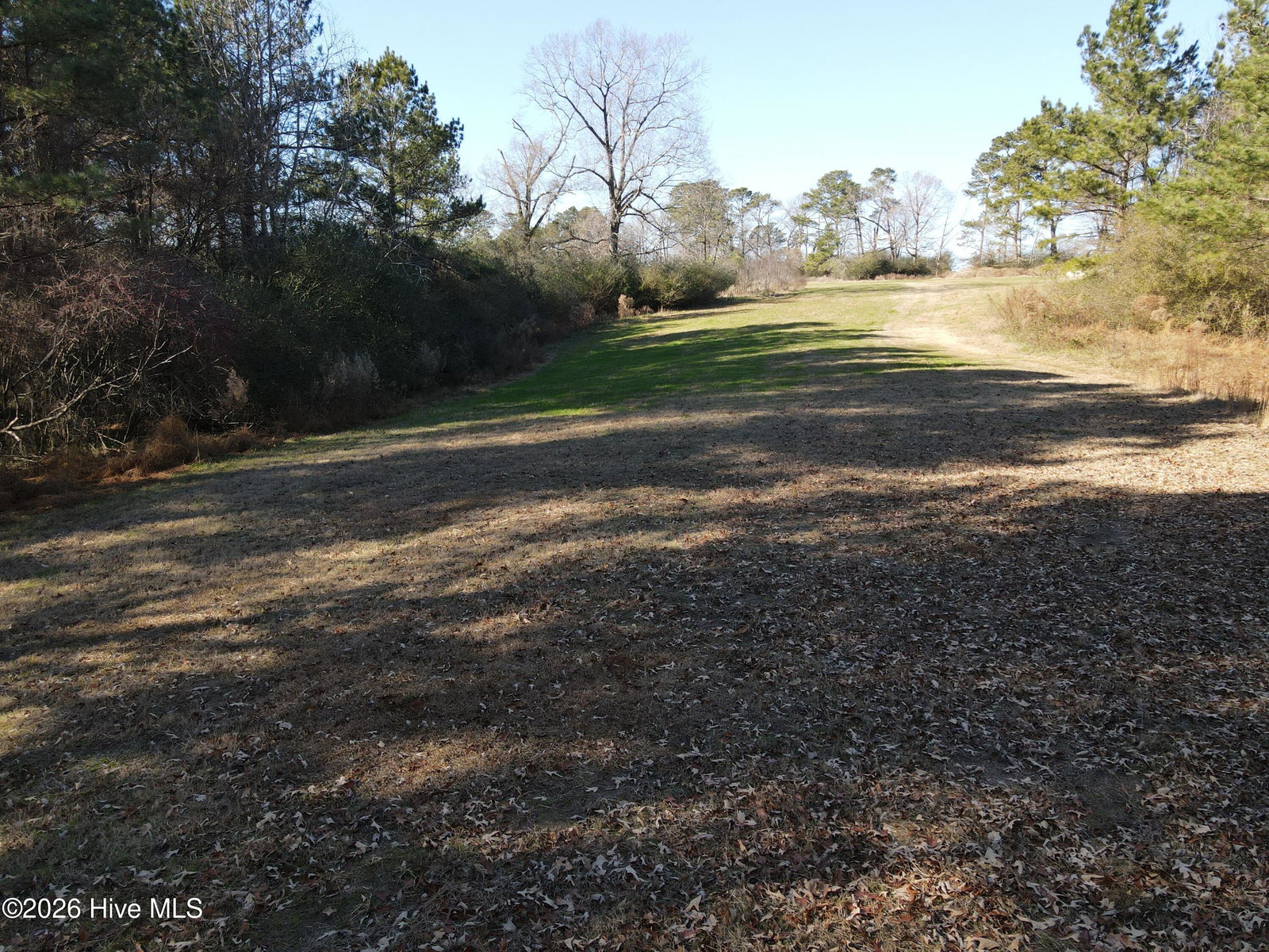 00 Sykes Road, Nashville, NC 27856 — photo 5