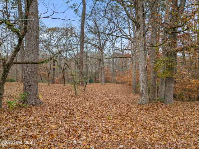 203 W Woodlawn Drive, Williamston, NC 27892 — photo 6