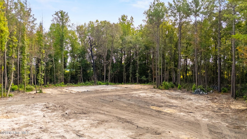 0 Us Hwy 117 N Lot 3 image