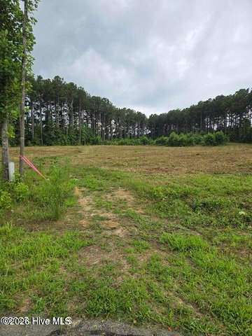 Lot 51 51 Roseheath Court, Bailey, NC 27807