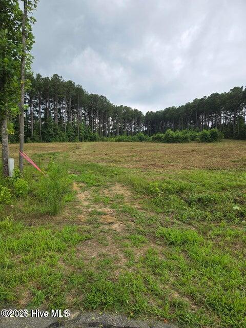 Lot 51 51 Roseheath Court, Bailey, NC 27807 — main photo