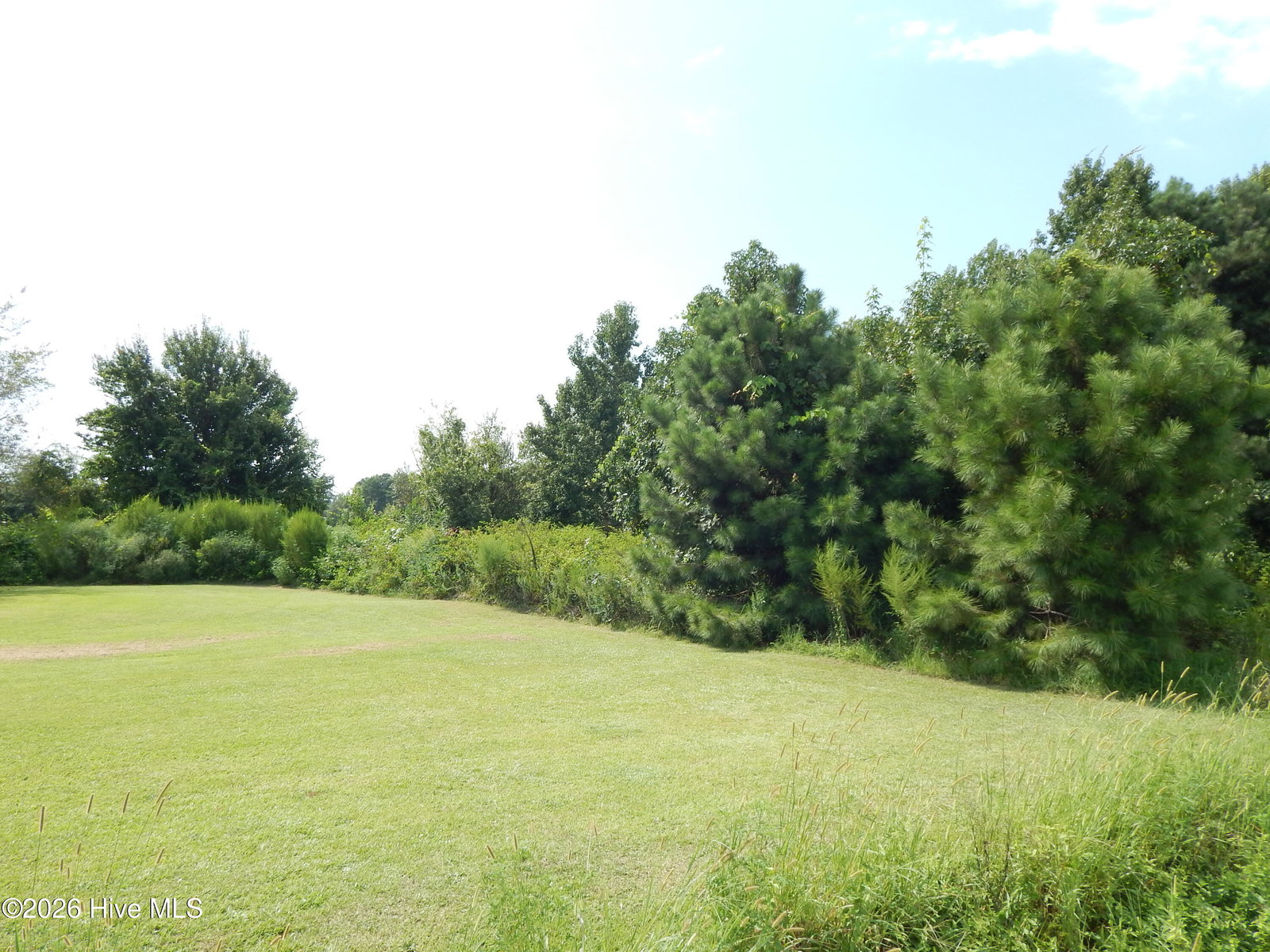 909 6 Gum Swamp Church Road, Greenville, NC 27834 — photo 5
