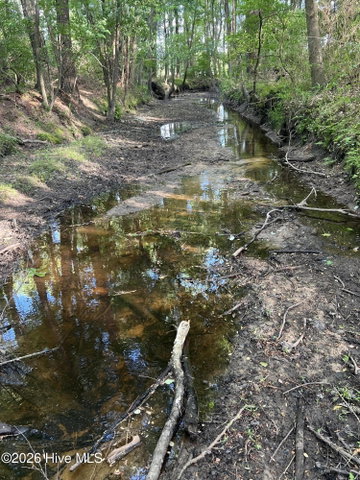 0 Tract 1 Nc 30, Stokes, NC 27884 — photo 13