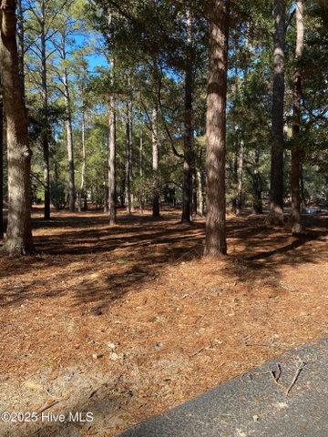 670 Cypress Grove Court SE image
