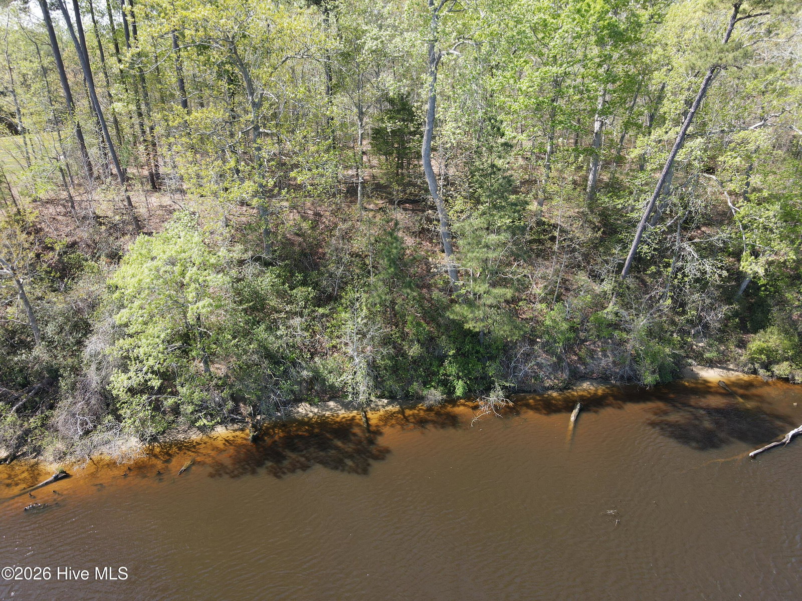Lot 10 Riverview Court, Winton, NC 27986 — photo 2