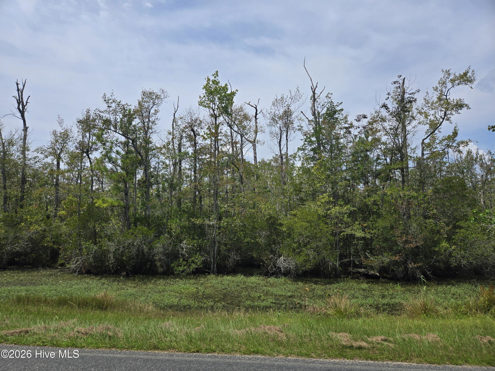 0 Elementary School Road, Columbia, NC 27925 — photo 4