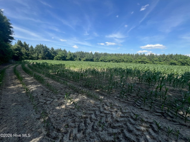 2364 Nc 102 E, Ayden, NC 28513 — photo 14
