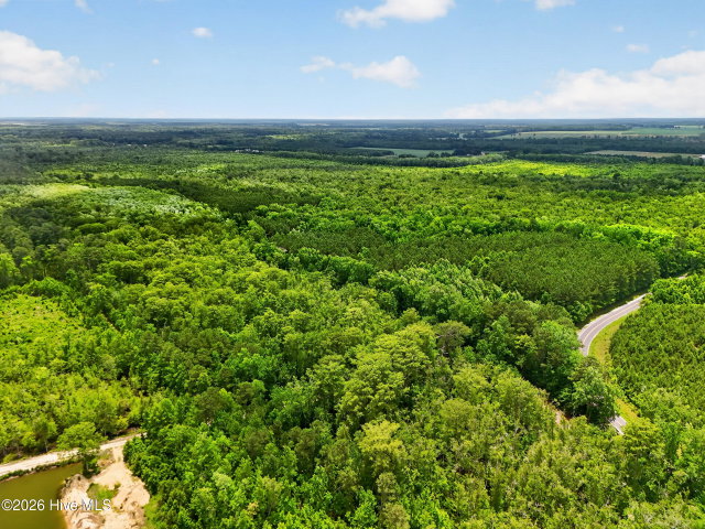 Tbd Pea Ridge Road, Roper, NC 27970 — photo 22