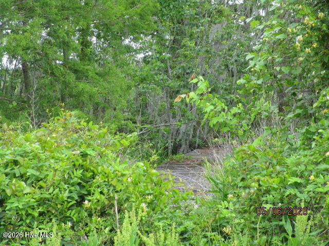 421 11 Pointe Vista Drive, Elizabeth City, NC 27909 — photo 4