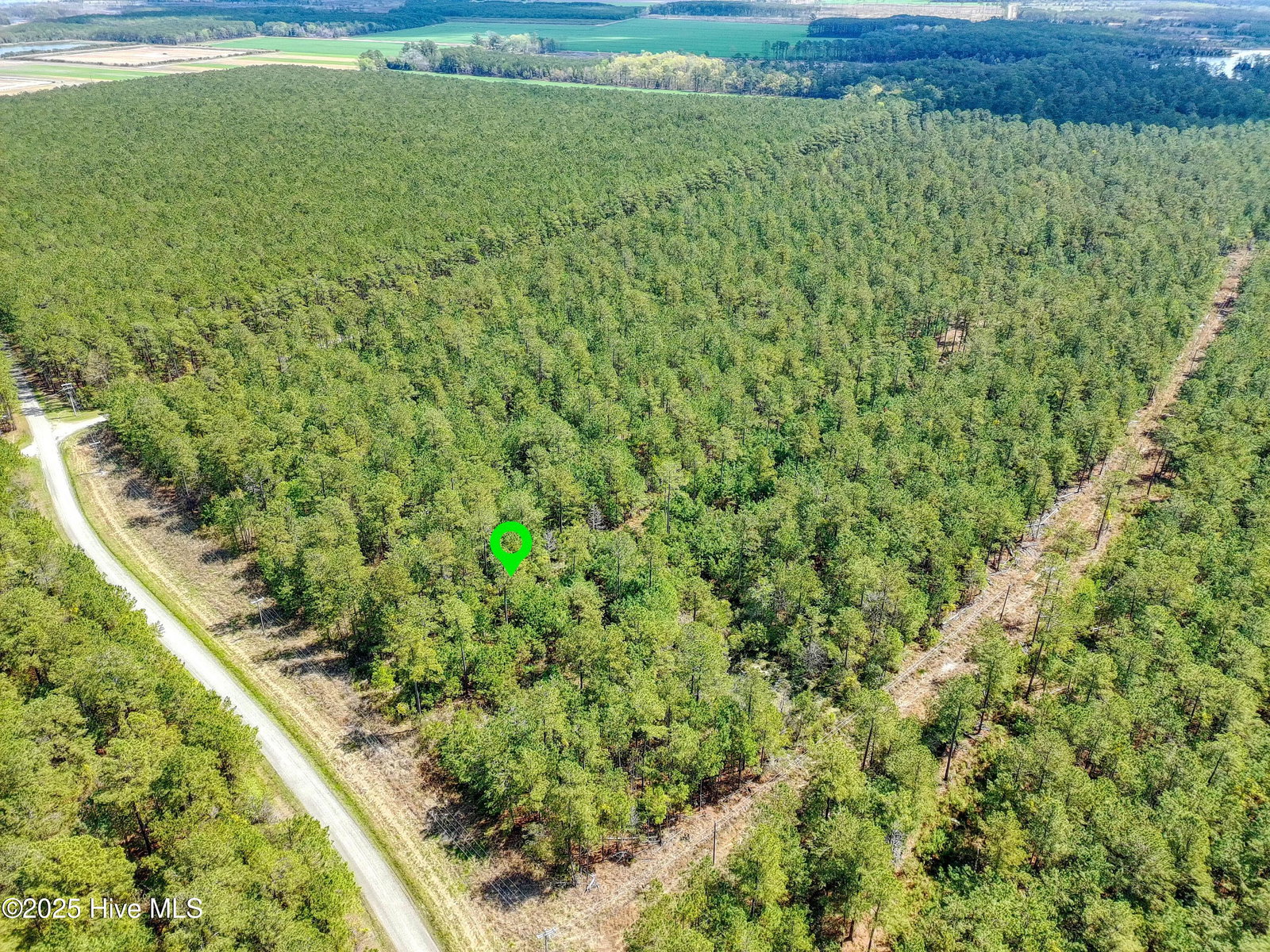 20 20 Sandy Point Road, Scranton, NC 27875 — photo 2