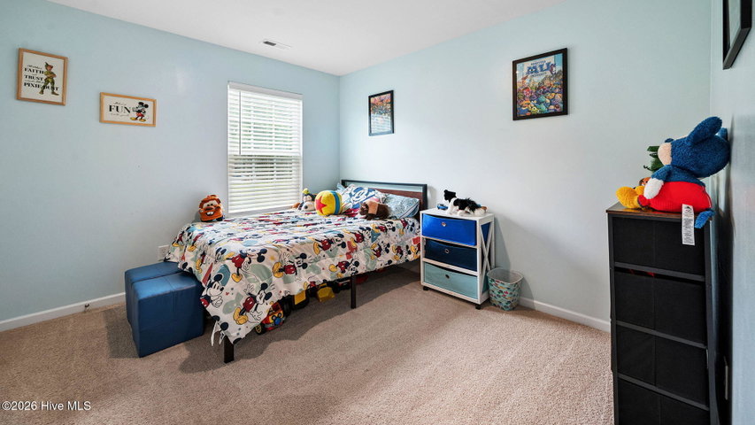 4295 Stanfield Court, Ayden, NC 28513 — photo 57
