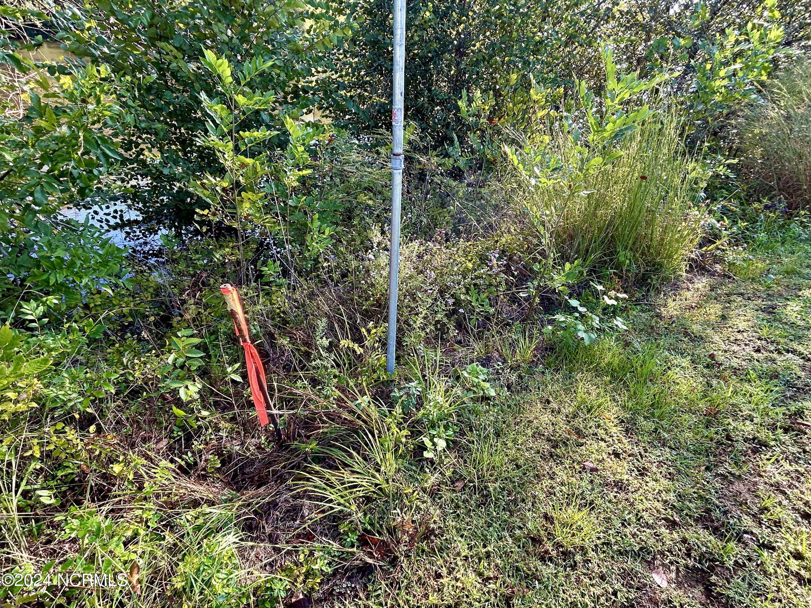 281 4 and 4A Old Sr 1801, Scotland Neck, NC 27874 — photo 5