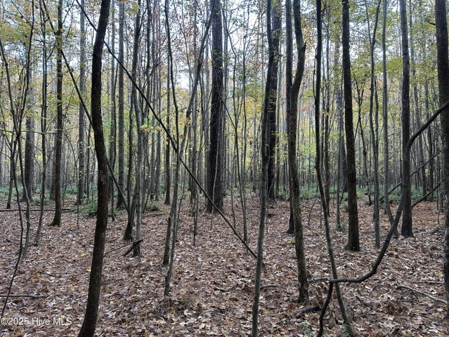 Lot 95-77 P95-77 Crocker Hill Road, Elizabeth City, NC 27909 — photo 10