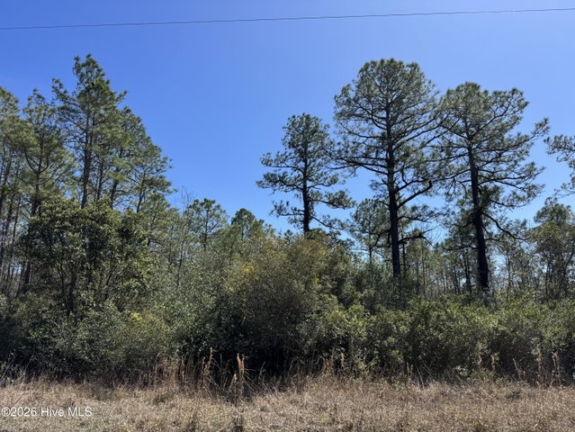 Lot 21 New Hanover Road image