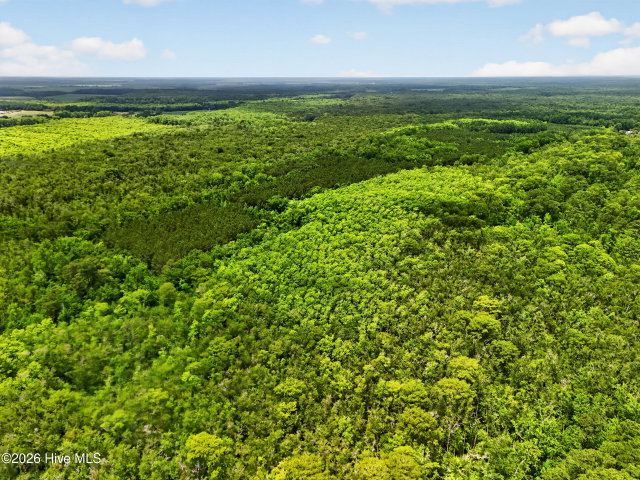 Tbd Pea Ridge Road, Roper, NC 27970 — photo 20