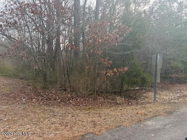 Tbd Carter Street, Woodland, NC 27897 — photo 4