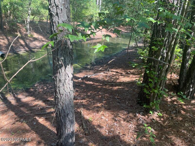 6802 Nc 33, Tarboro, NC 27886 — photo 3