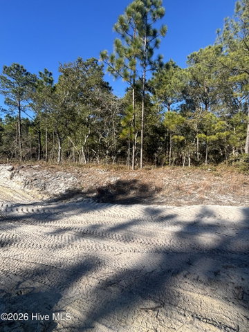 Lot 221 Starling Break Road image