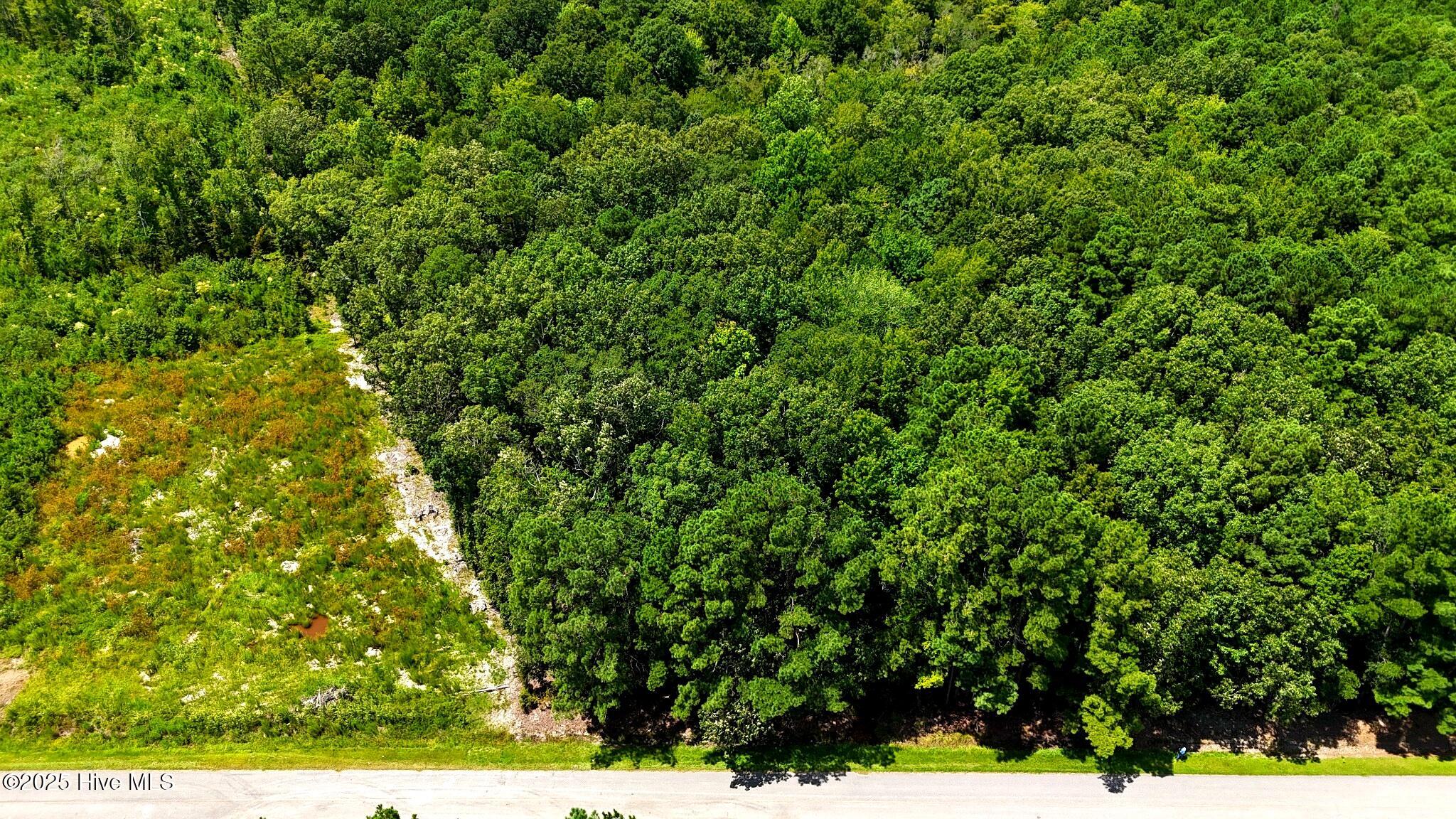 Tbd Boat Ramp Road, New Hope, NC 27944 — main photo