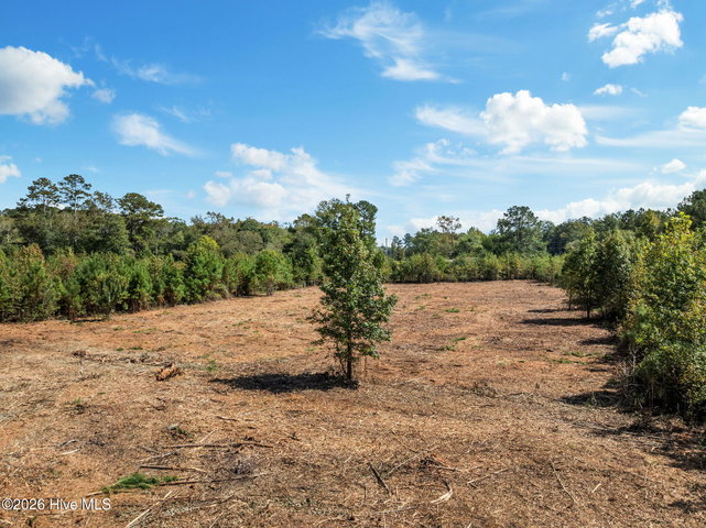 Lot 4 4 Jolly Ole Field Road, Grifton, NC 28530 — photo 12