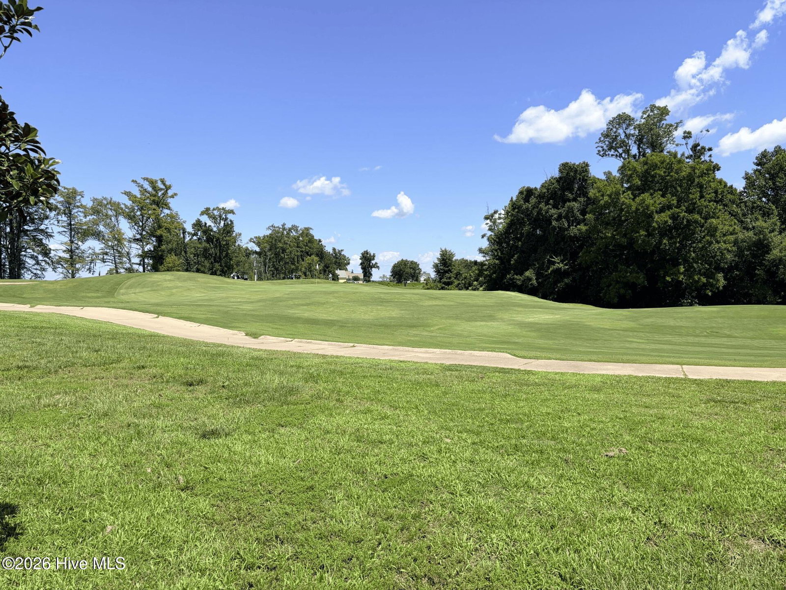 126 403 Prince Court, Merry Hill, NC 27957 — photo 5