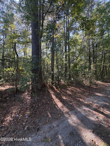 16 16 Old Tar, Winterville, NC 28590 — photo 3