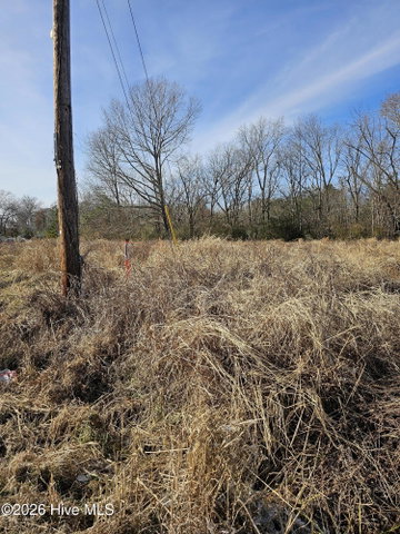 Tbd E Main Street, Woodland, NC 27897 — photo 3