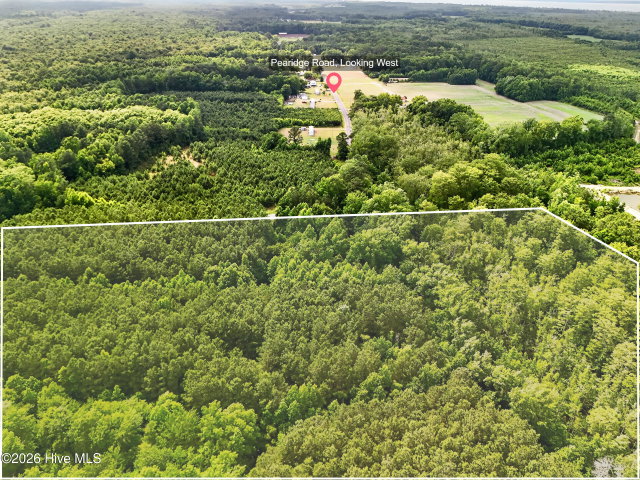 Tbd Pea Ridge Road, Roper, NC 27970 — photo 15