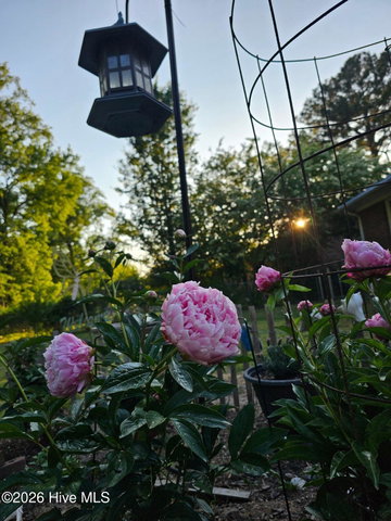1617 Ulster Drive, Elizabeth City, NC 27909 — photo 50