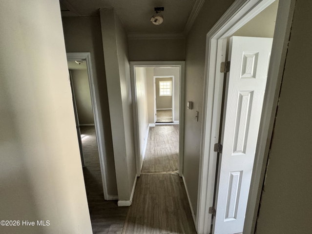 207 E Peterson Street, Edenton, NC 27932 — photo 47