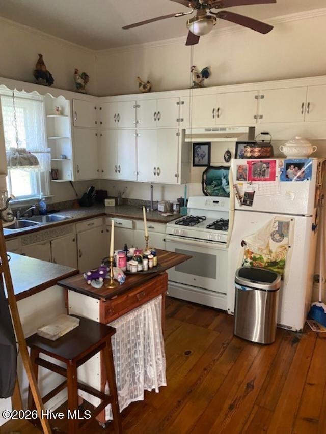 3053 Draughn Road, Tarboro, NC 27886 — photo 4
