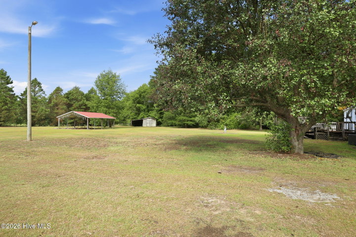 3148 Lewis Haddock Road, Grifton, NC 28530 — photo 39